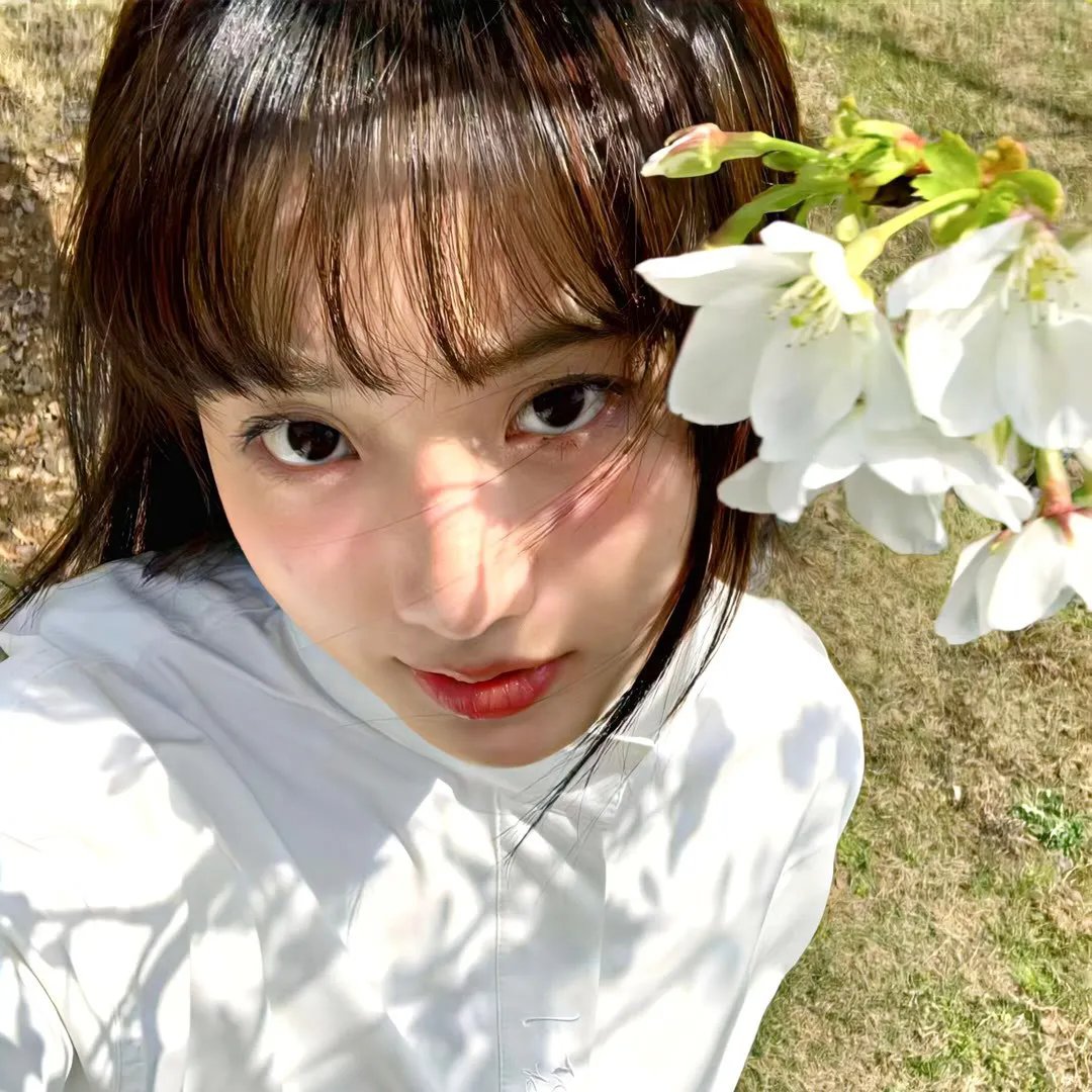 杀狼花